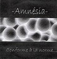 Amnesia (FRA) : Conforme à la Norme